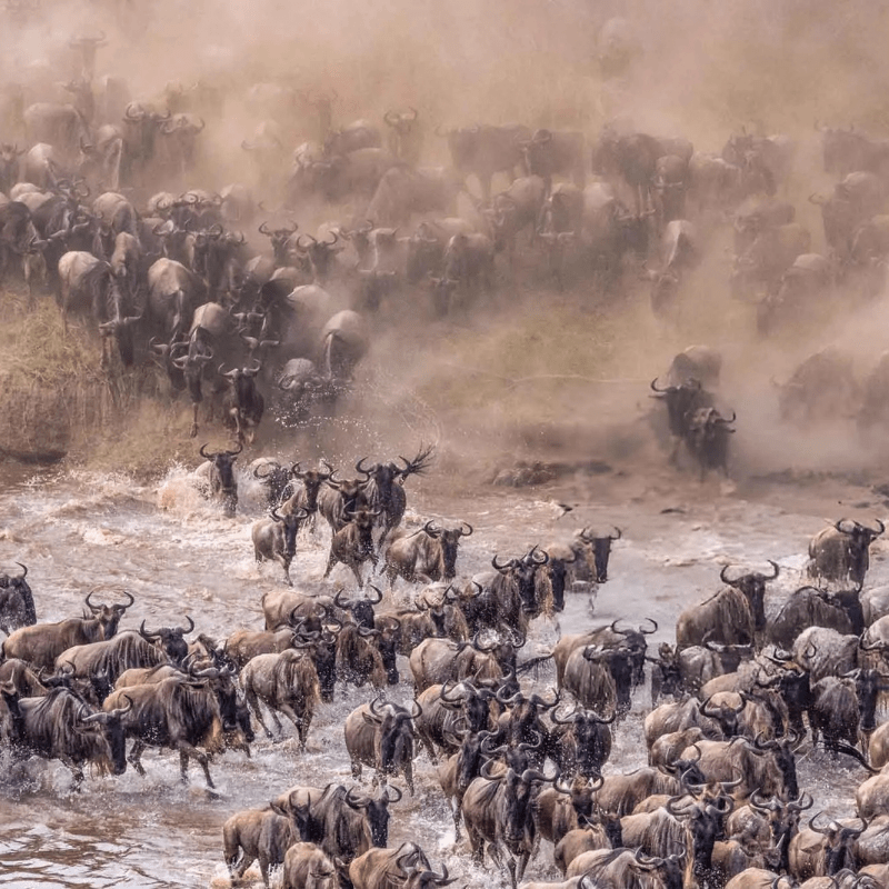 Tanzania